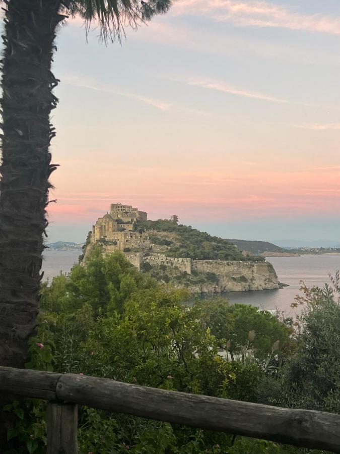 Villa To Ischia With Love المظهر الخارجي الصورة